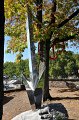 Buga_Koblenz   053